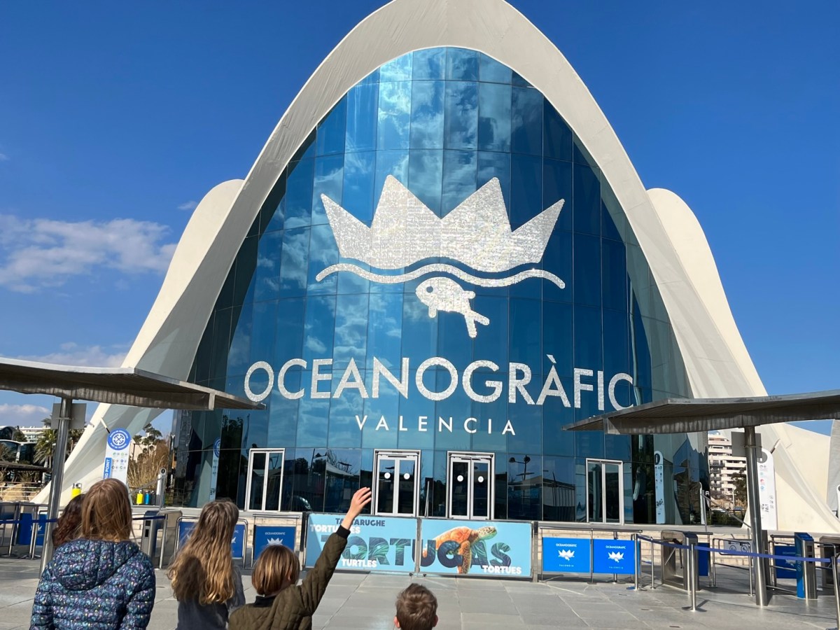 ciutat de les arts i les&nbsp;ciències